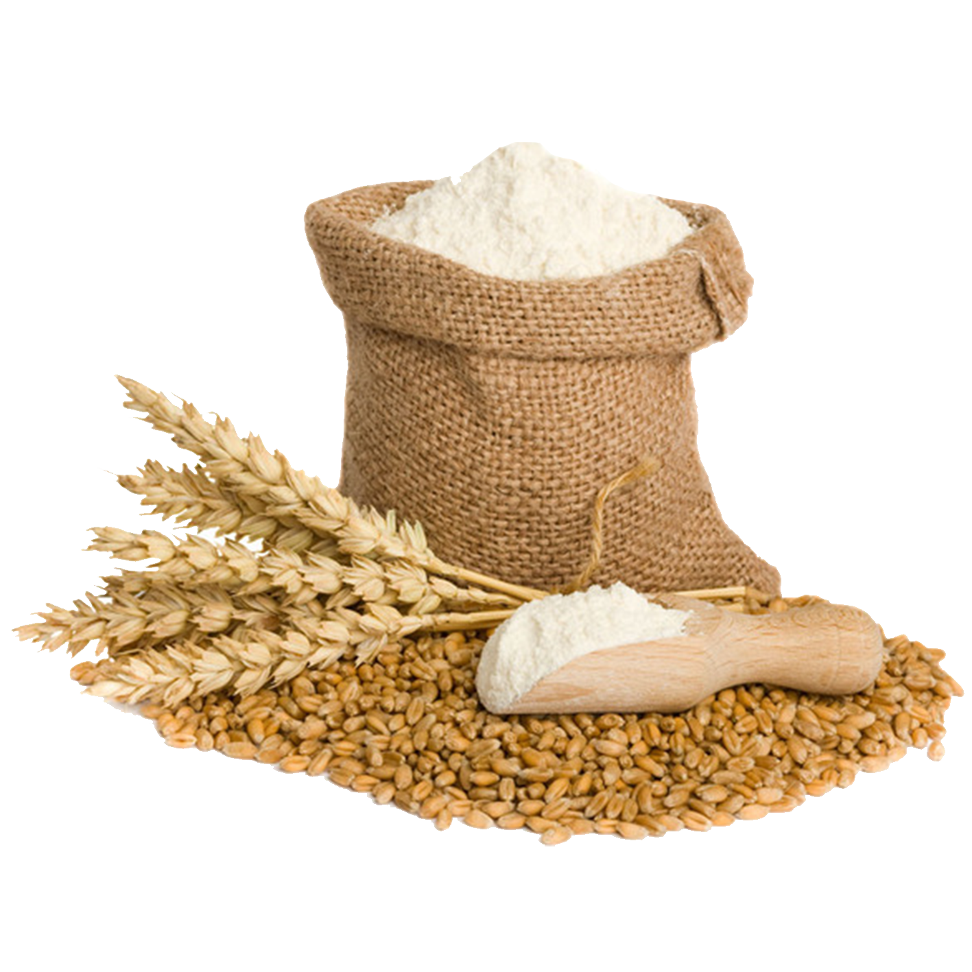 Wheat